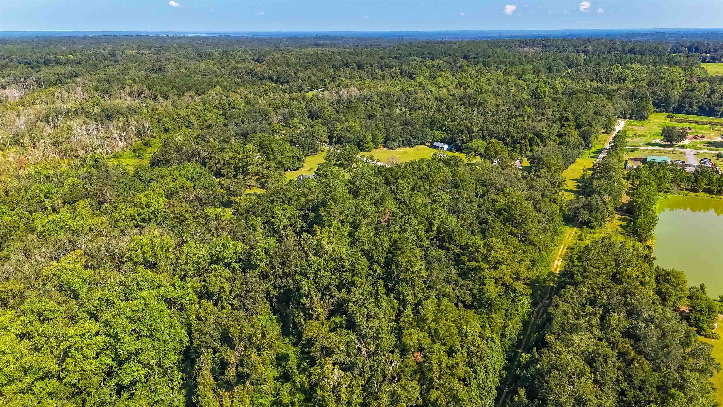 Monticello Land Opportunity