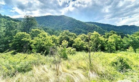LAND - Clyde, NC
