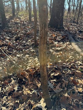 190 Acres of Versatile Farmland