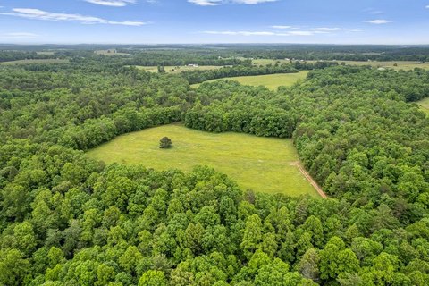 Unrestricted Acreage Near Hunting Lodge