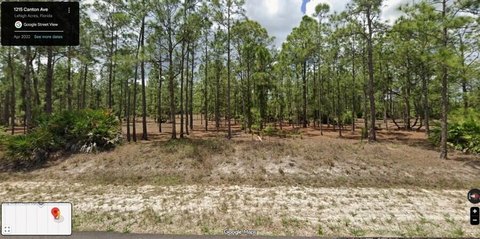 LAND - Lehigh Acres, FL