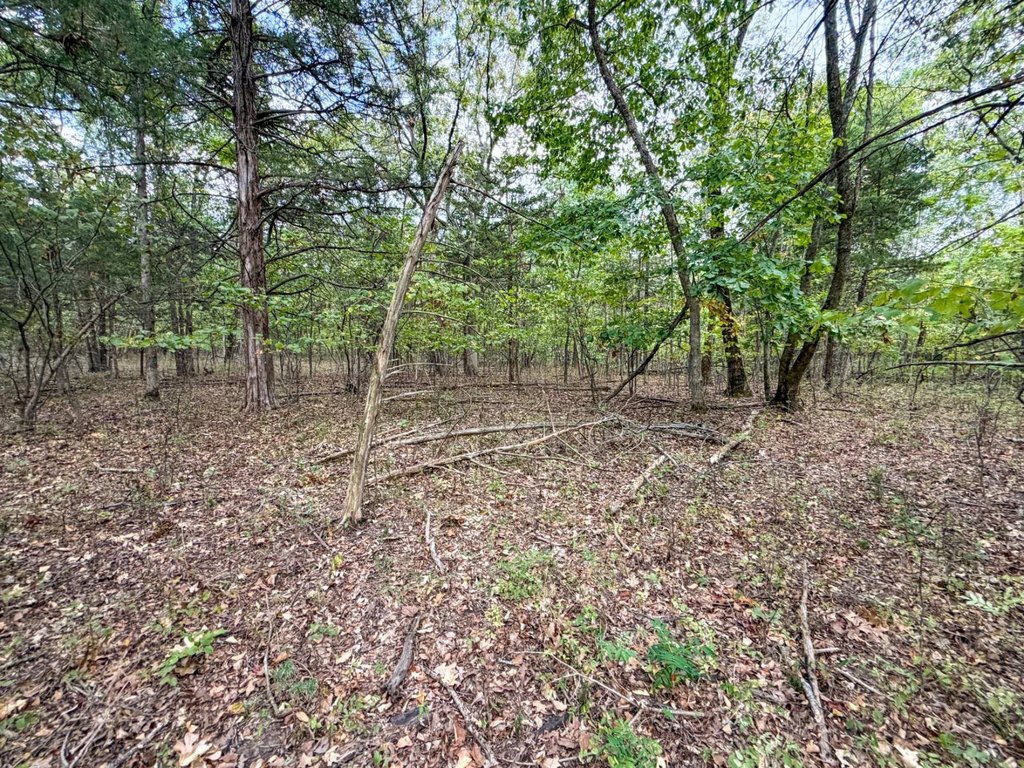 Picture 31