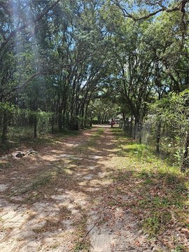 Land, HOMOSASSA, FL