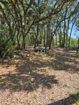 LAND - HOMOSASSA, FL