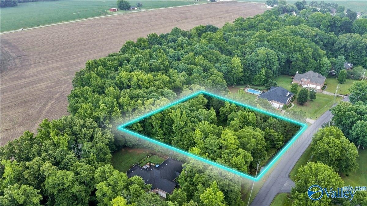 Residential Land in Toney, AL