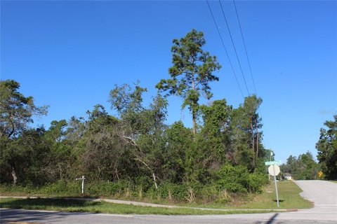 Corner Commercial Land