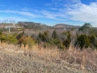 Prime Commercial Land, Sevierville, TN