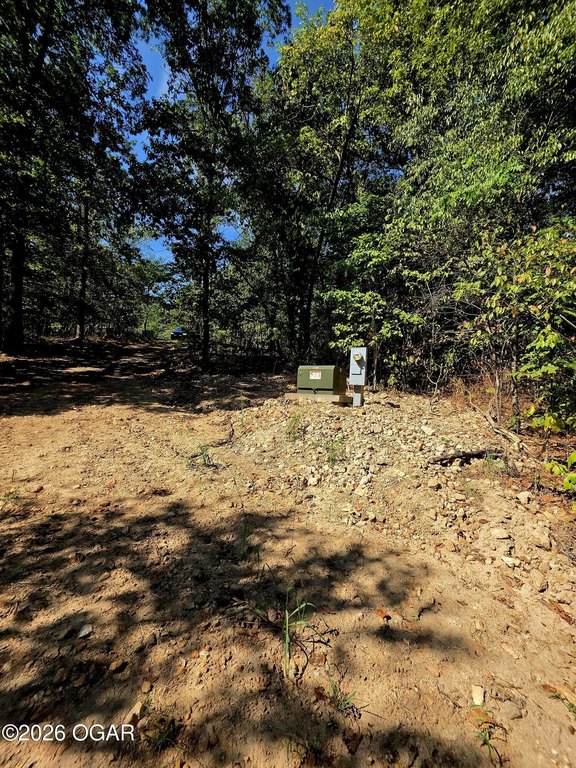 Picture 6