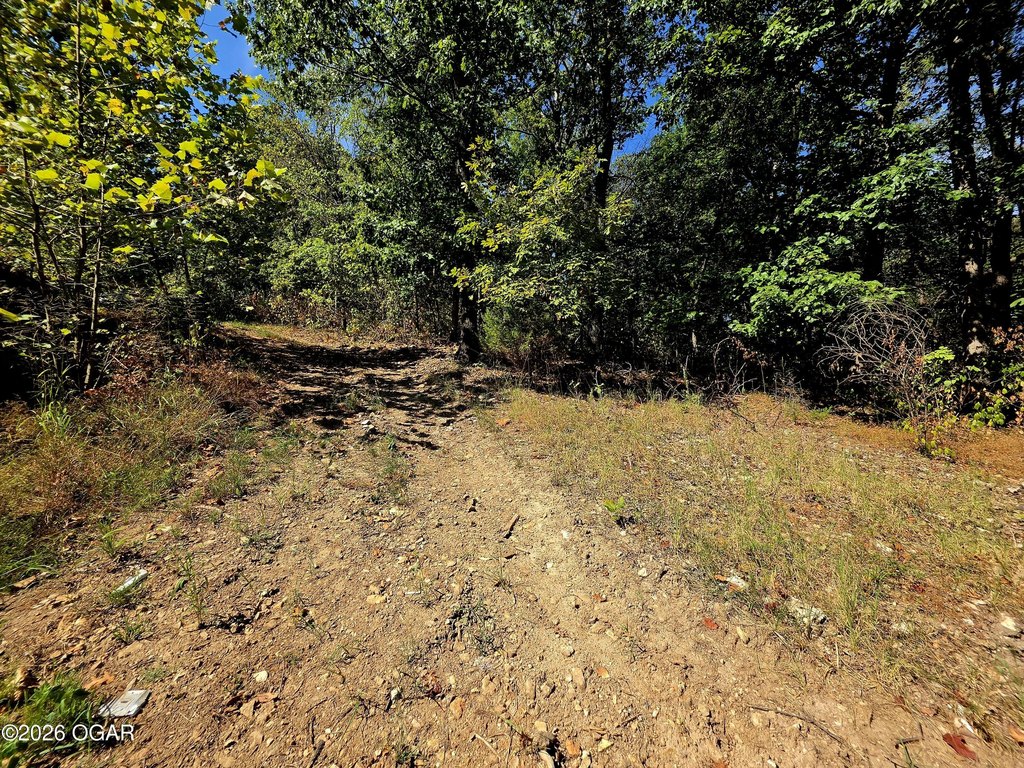 Picture 8