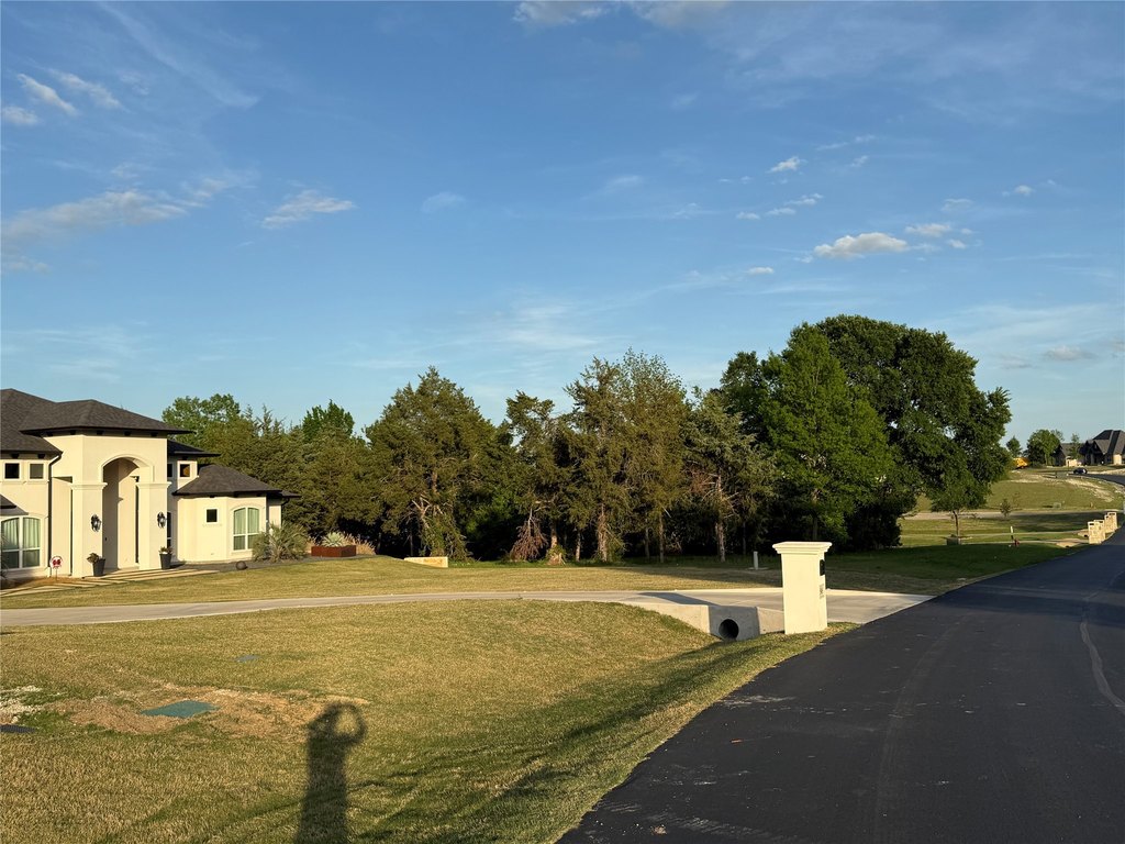 Picture 9