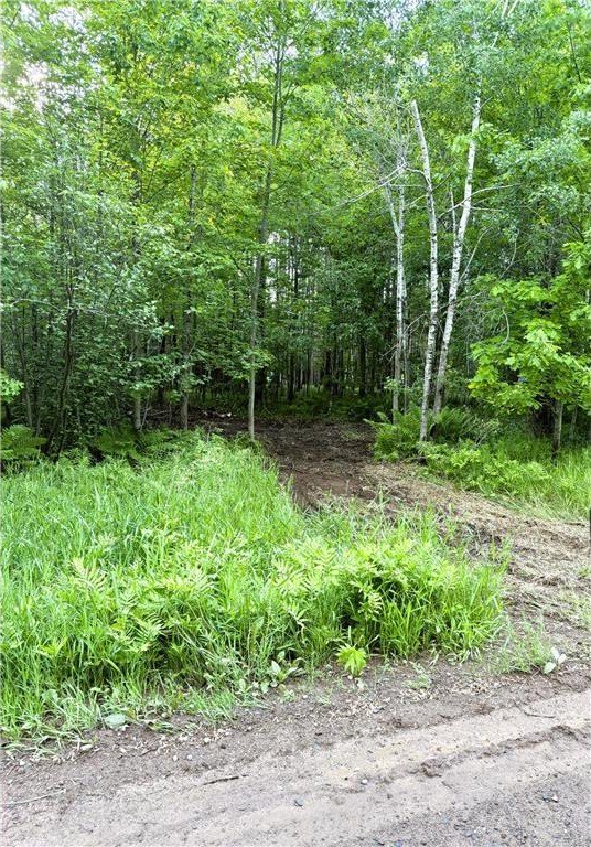 Picture 6