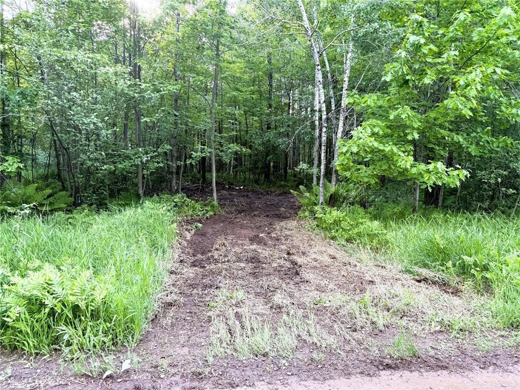 Picture 2