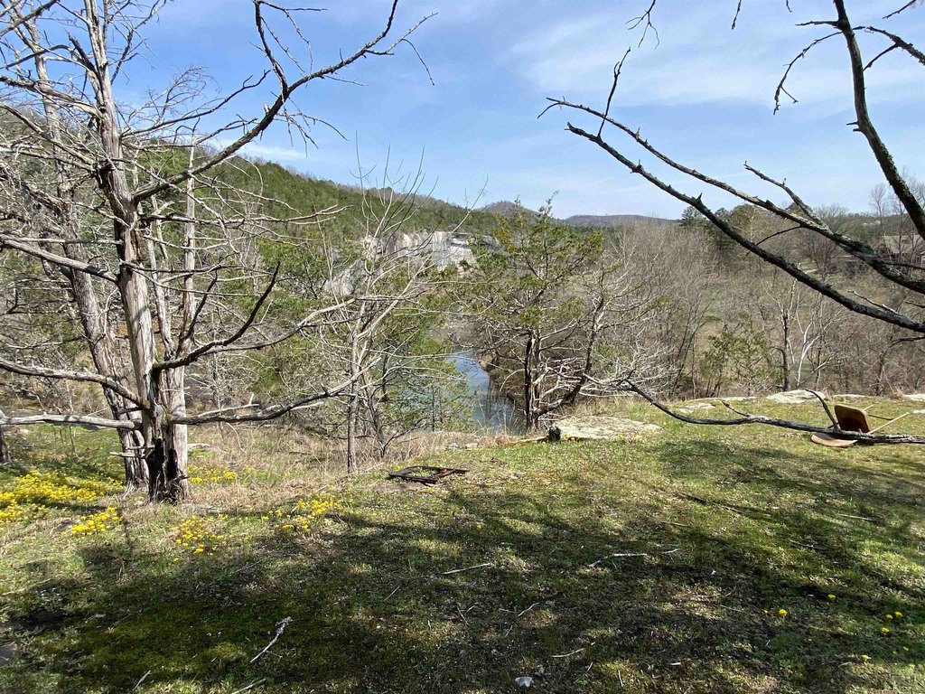 Picture 25