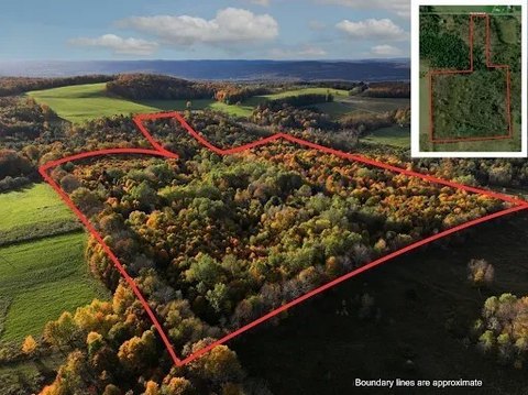 Mature Woods Hunting Land