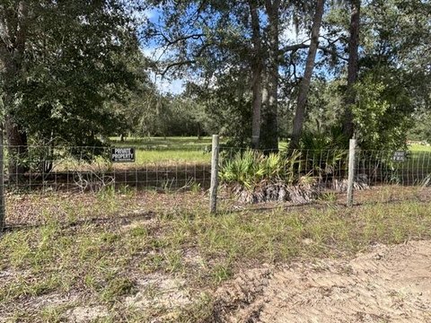 Land, Bronson, FL