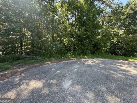 LAND - Carlton, GA