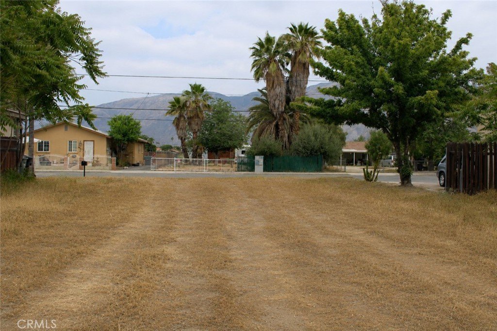 Picture 7