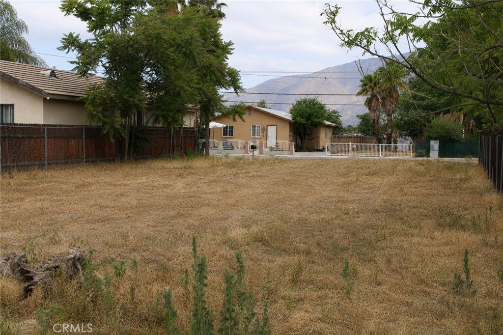 Picture 10