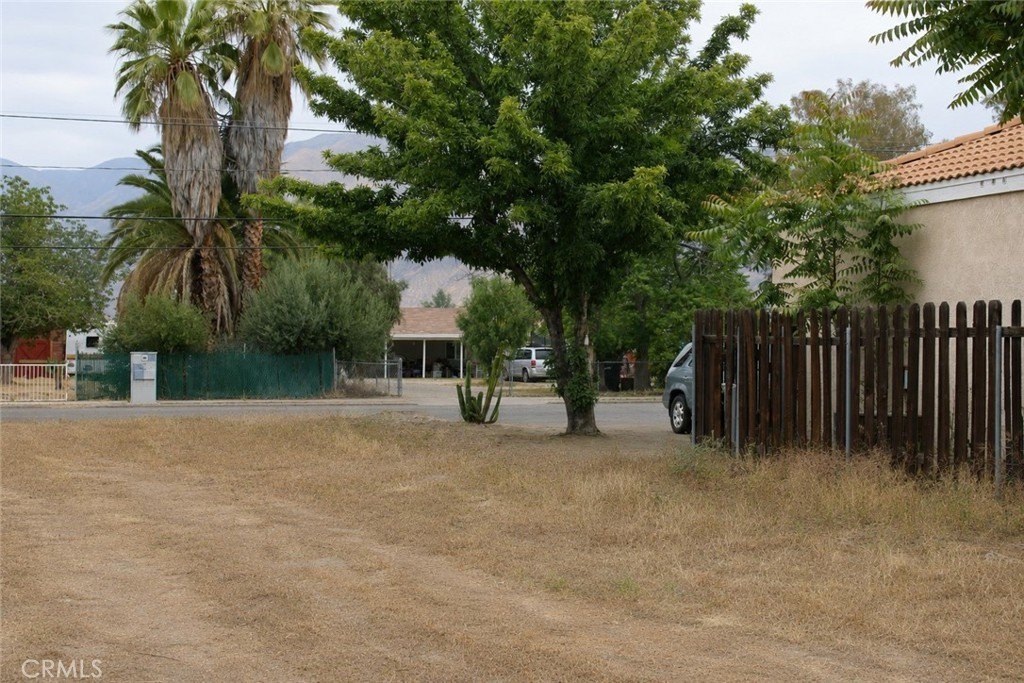 Picture 9