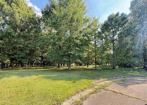 Residential Land in Union City