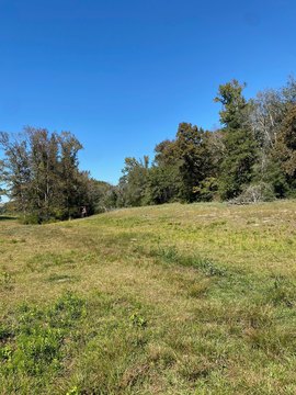 Ranch-Ready Land with Road Frontage