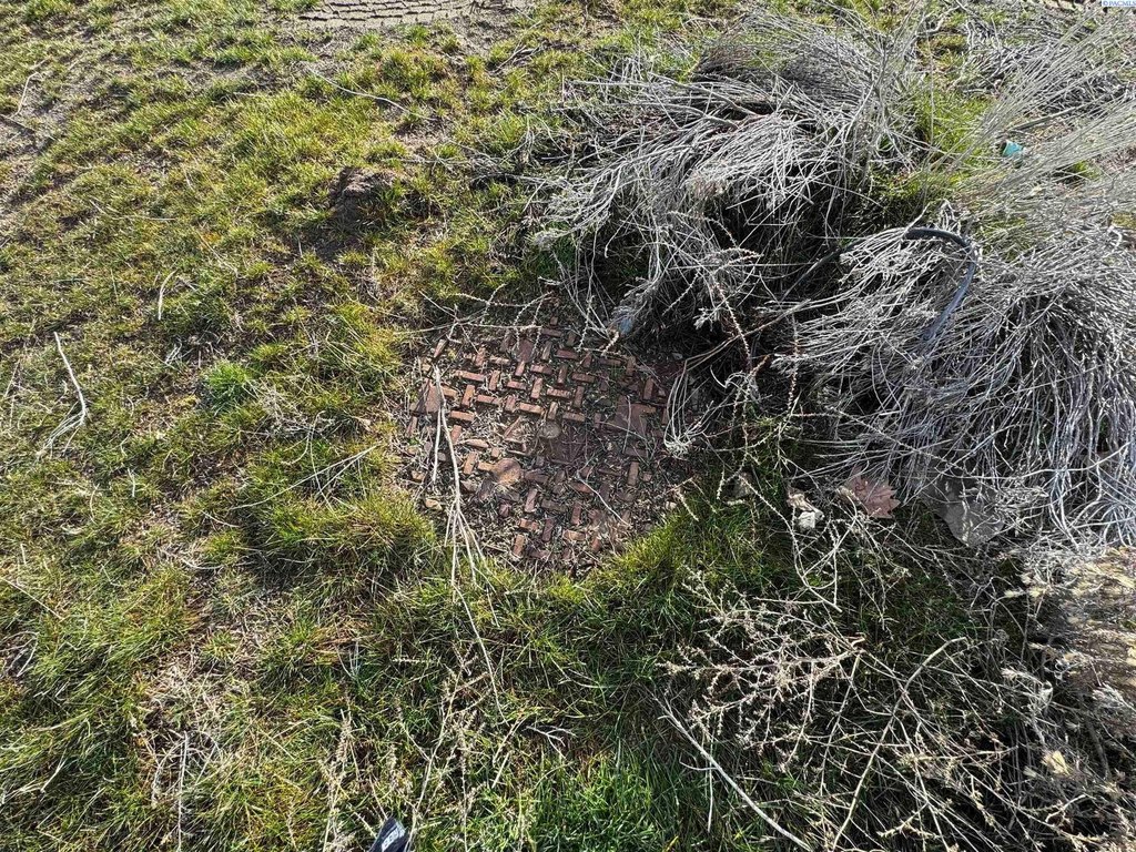 Picture 5