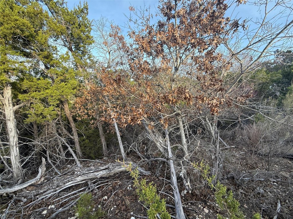 Picture 19