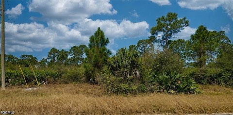 LAND - Fort Myers, FL