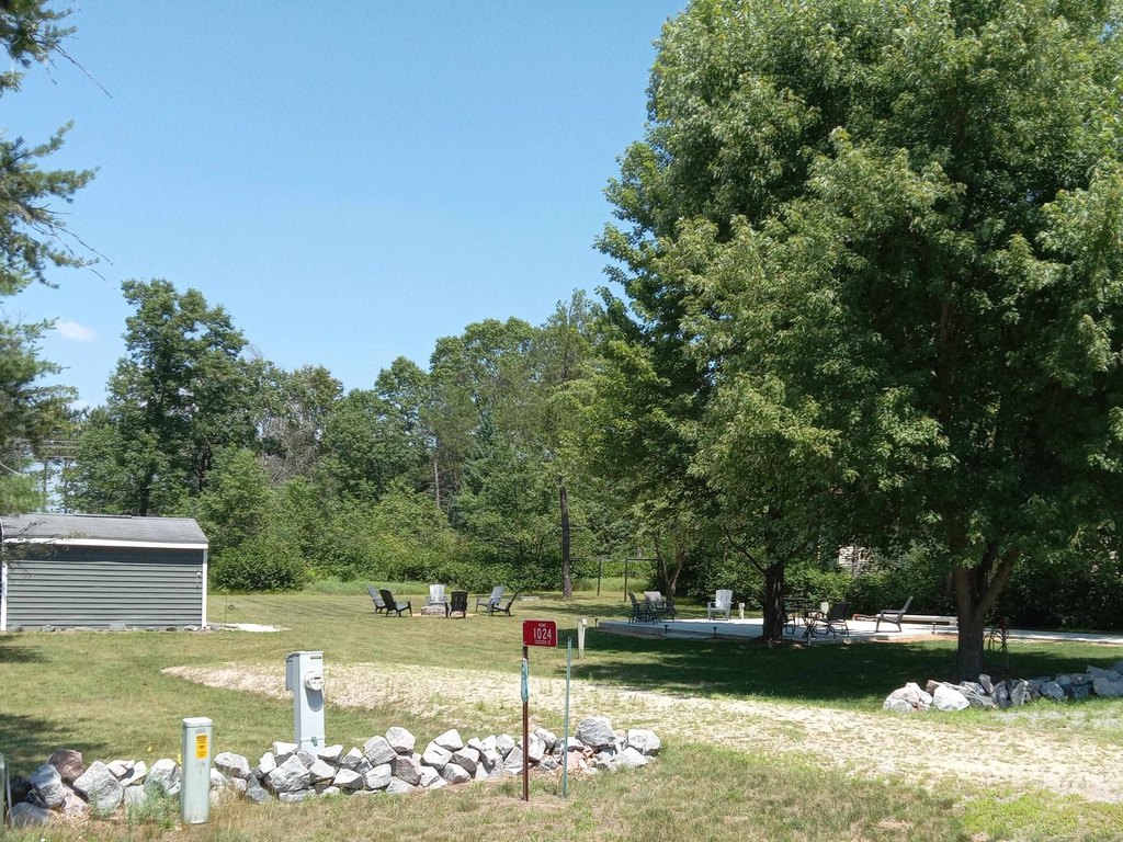 Picture 5