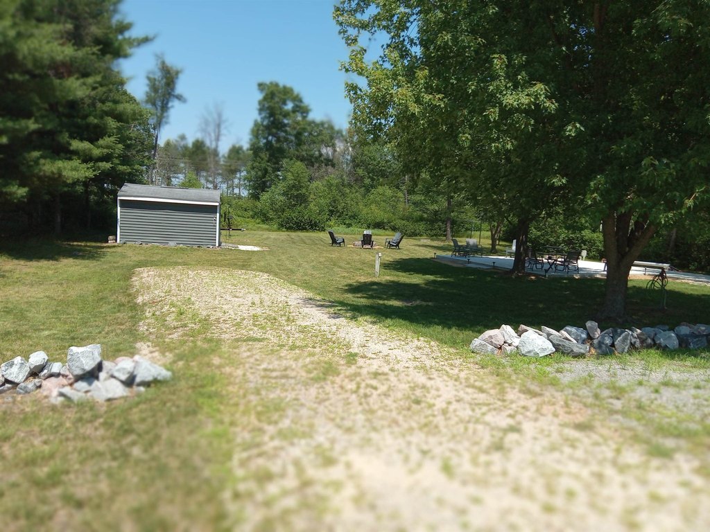 Picture 8
