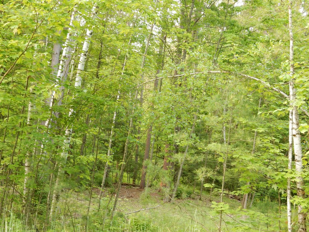 Picture 4