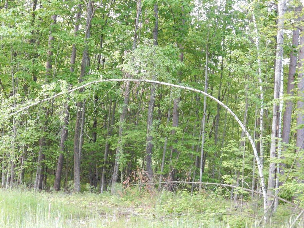 Picture 3