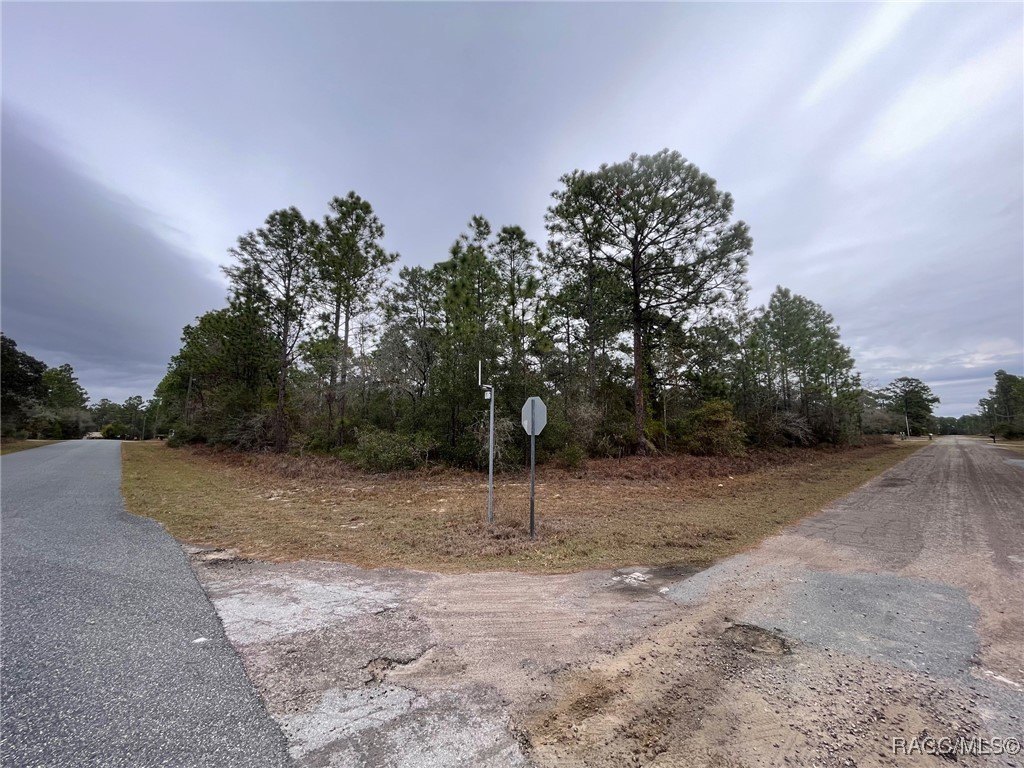Citrus Springs Corner Lot Opportunity
