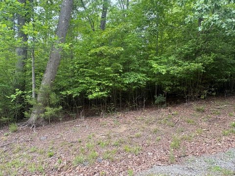 Hayesville, NC Vacant Lot