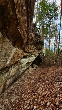 Land, East Bernstadt, KY
