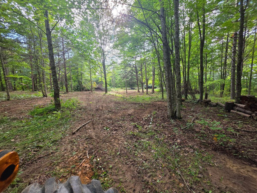 Picture 5