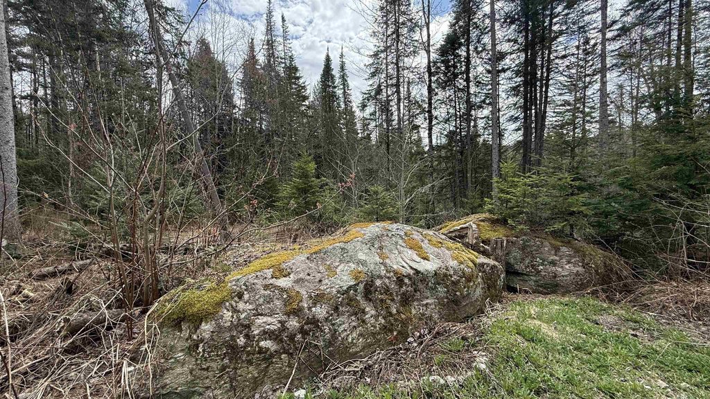 Picture 25
