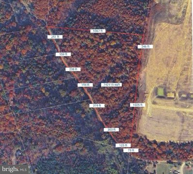 Wooded Land Near Potomac River