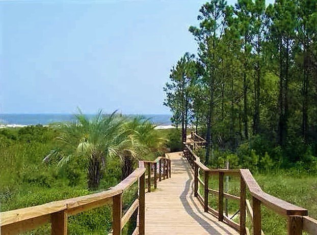 Picture 7
