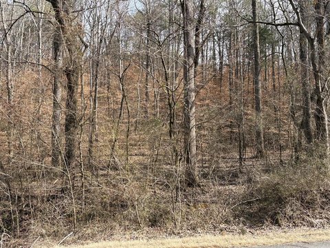 Cohutta, GA Land For Sale