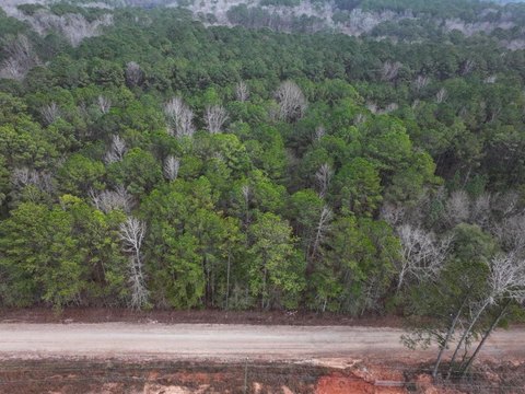 Land, Hamilton, GA