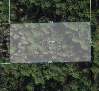 LAND - POLK CITY, FL