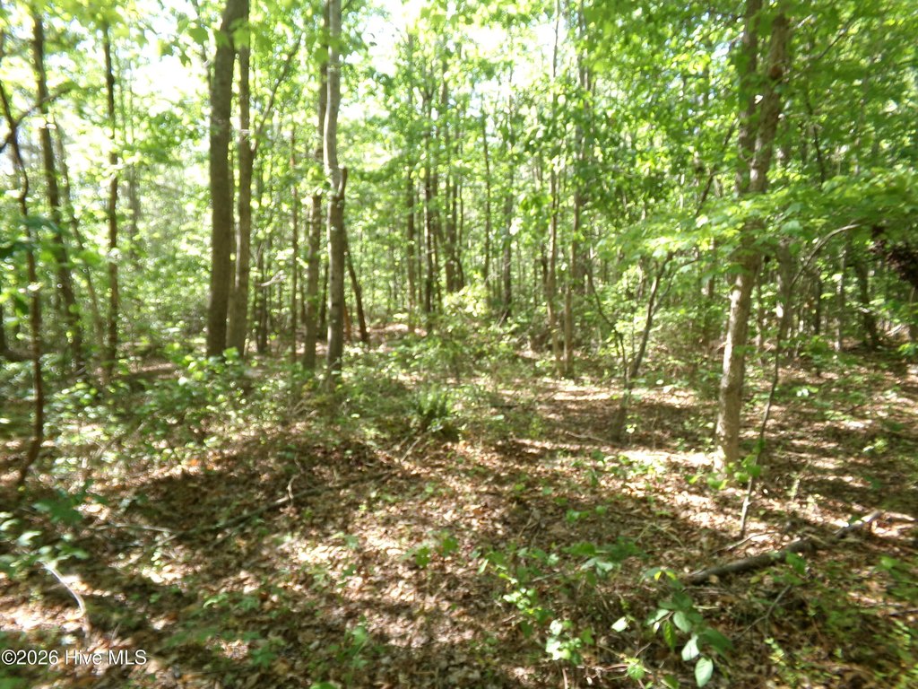 Picture 5