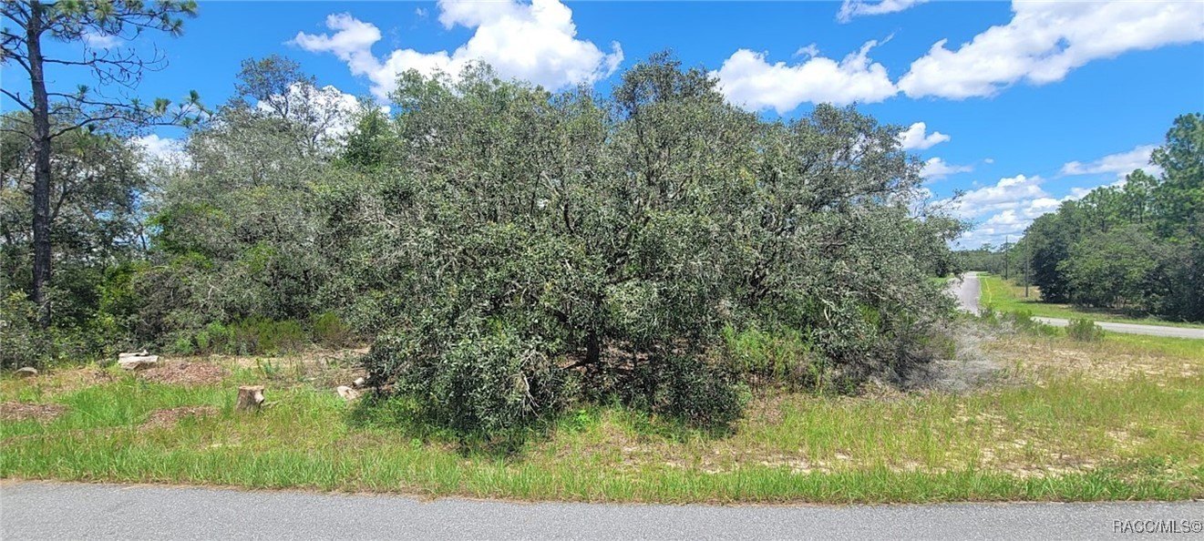 Citrus Springs Residential Land Parcel