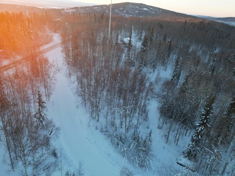 Fairbanks Wooded Land Parcel