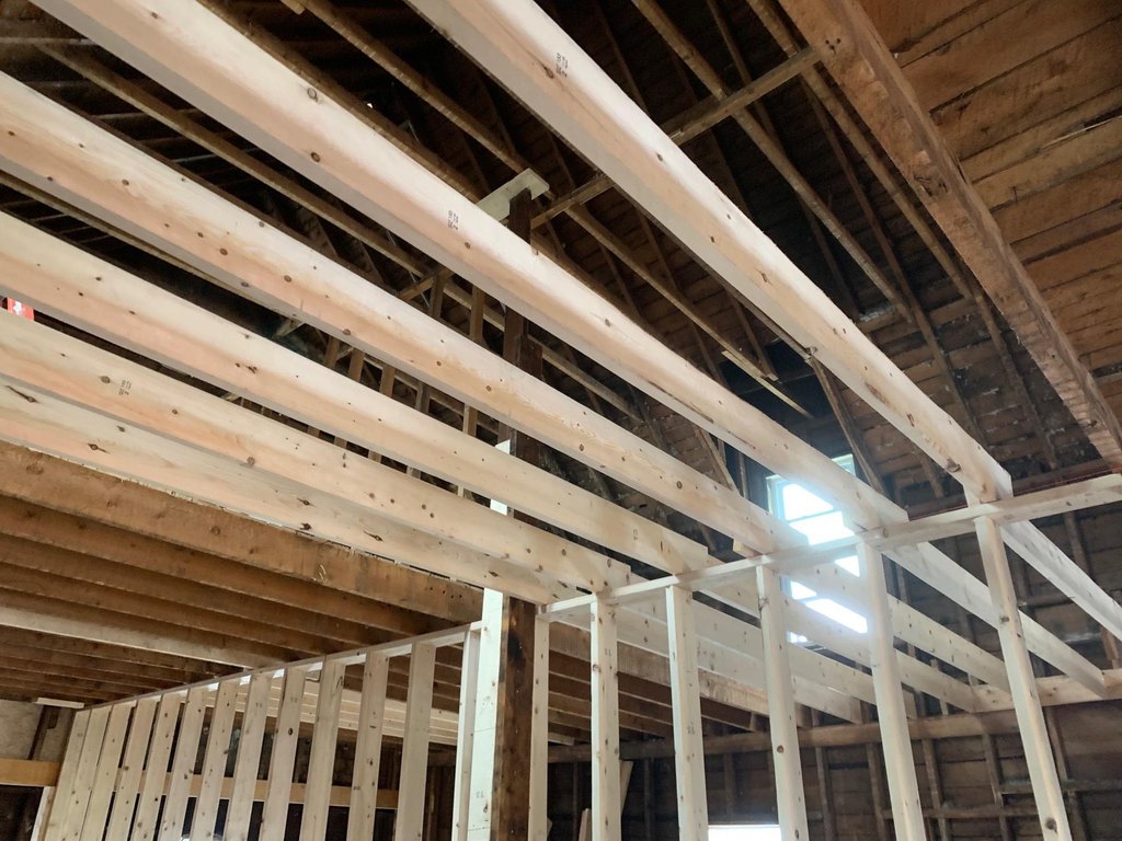 Picture 5