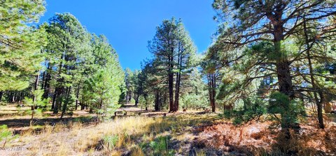 Land, Forest Lakes, AZ