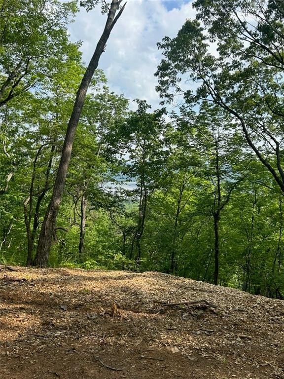Land with Lake and Mountain Views