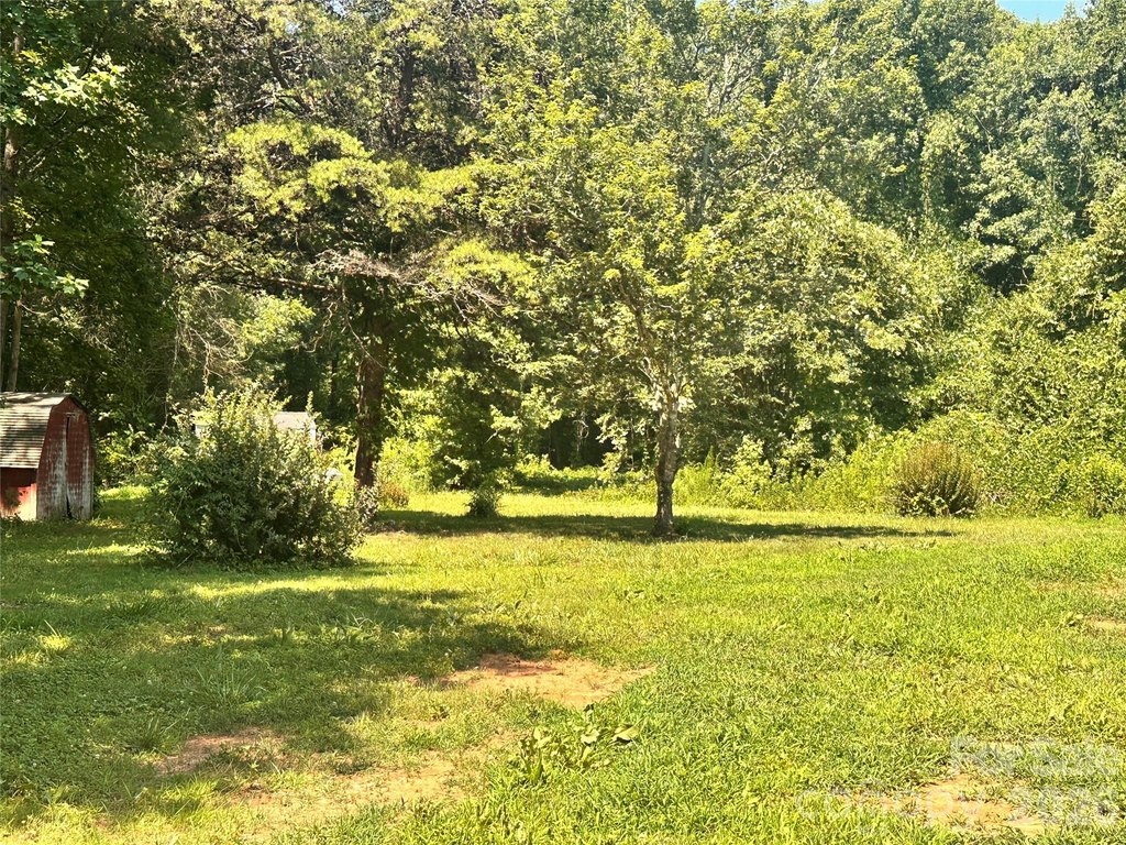 Picture 2