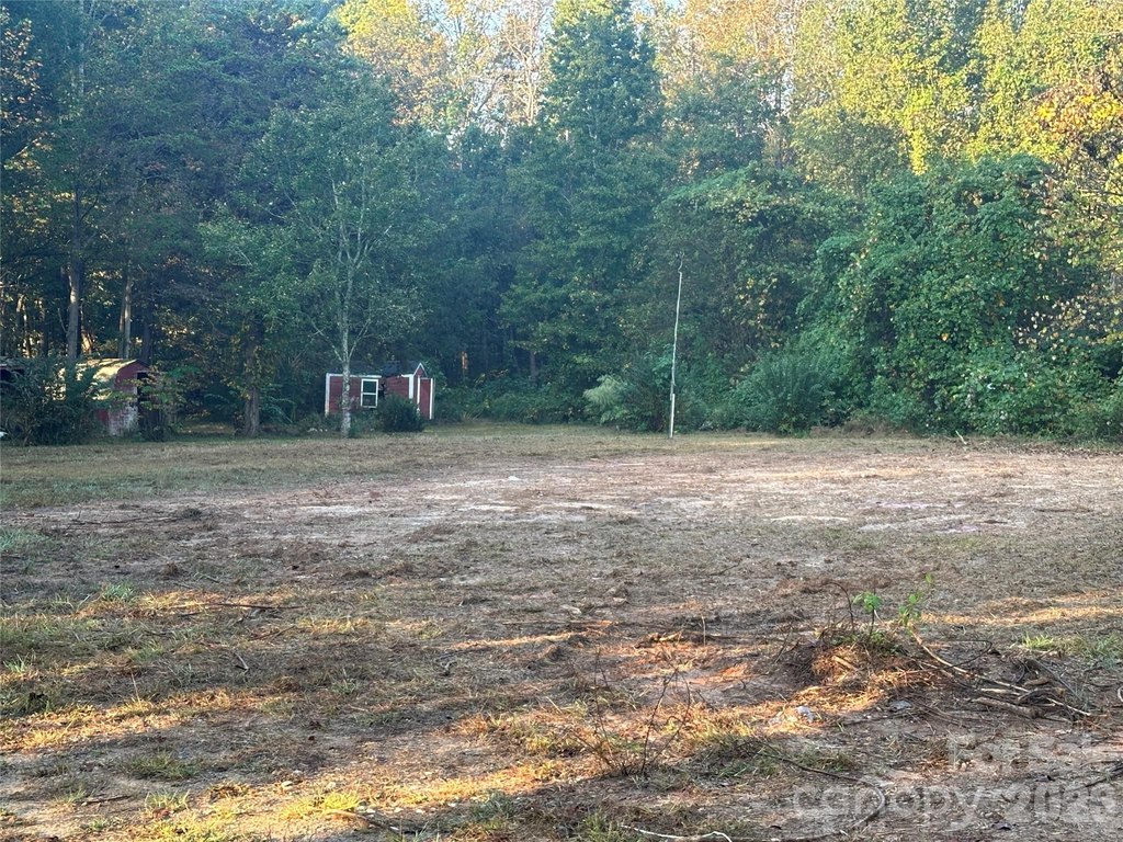 Picture 7